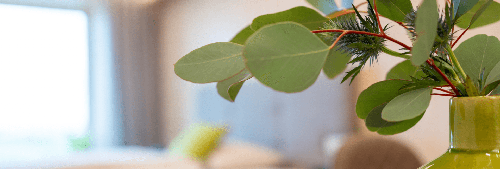 eee_Eberstalzell_Eins